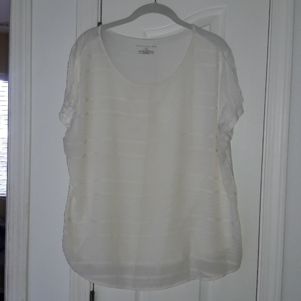 Ann Taylor office shirt